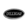 535961 - DILLIGAF PIN