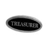 535991 - TREASURER TITLE PIN