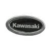 536000 - KAWASAKI TITLE PIN