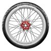 573376 - Avon Cobra Chrome 150/80R17 - Afbeelding 2